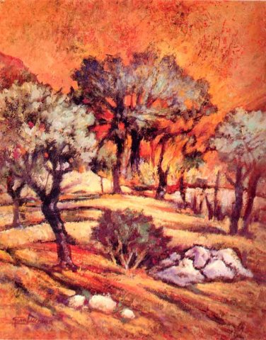 Fuoco tra gli alberi
