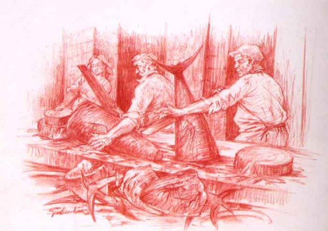 Mattatoio