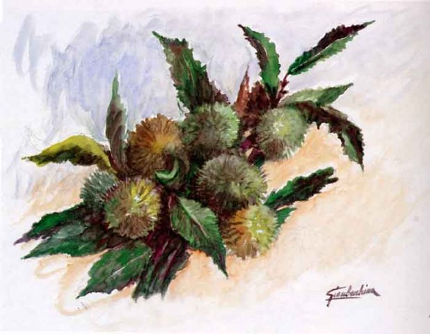 Riccio di castagne
